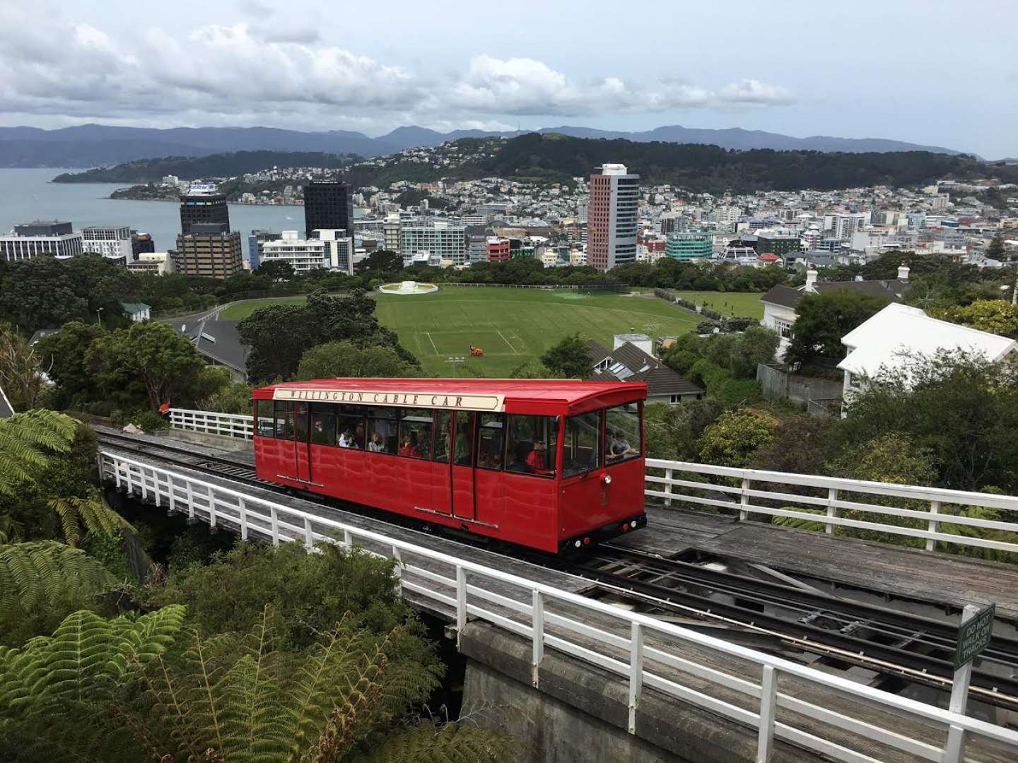 Cable car ride and walk through the Botanical gardens Wellington