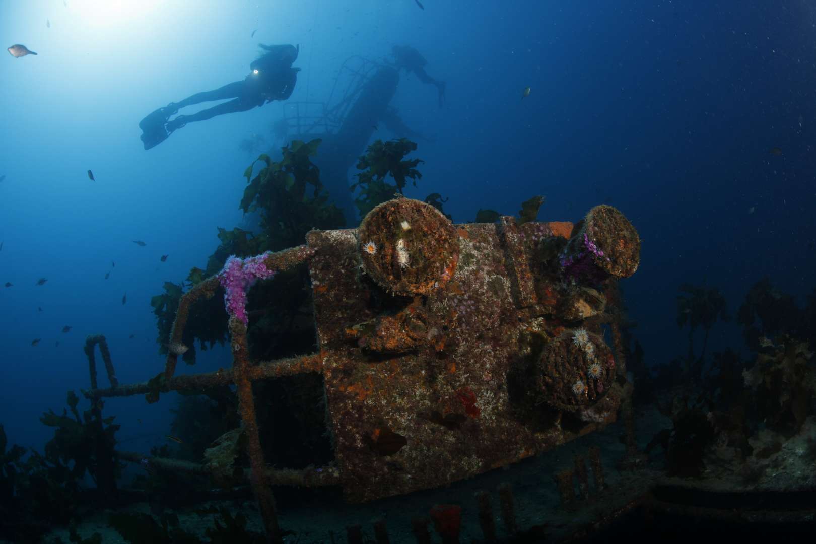 Canterbury Wreck Underwater Photos