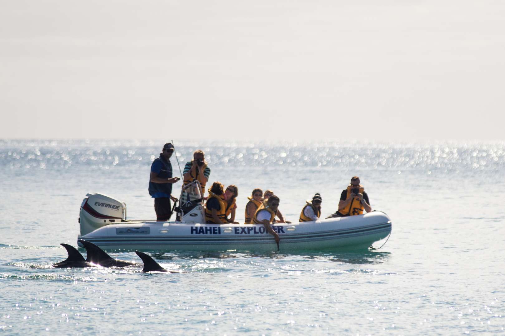 Cathedral Cove CoromandelBoat Tour