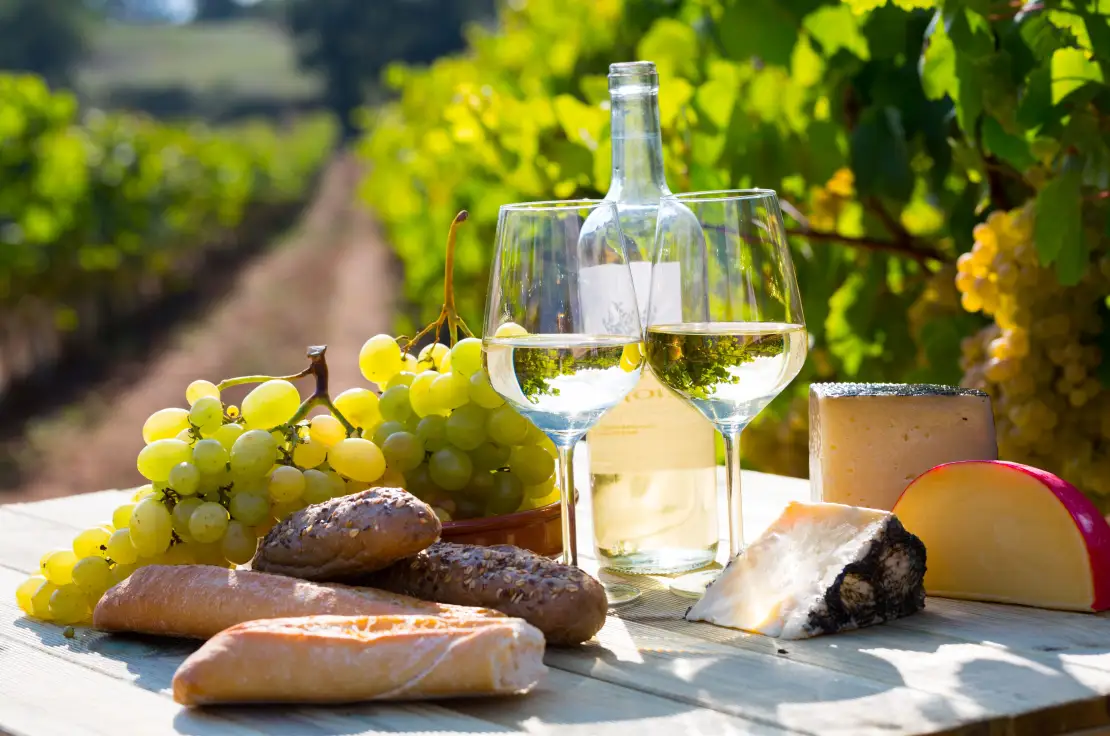 Cheese & Wine