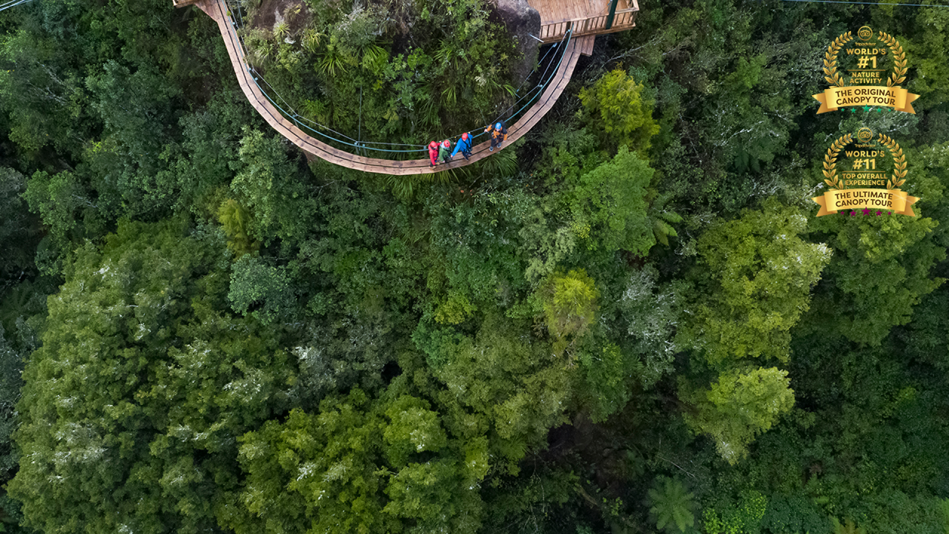 Cliff walk in ancient native forest