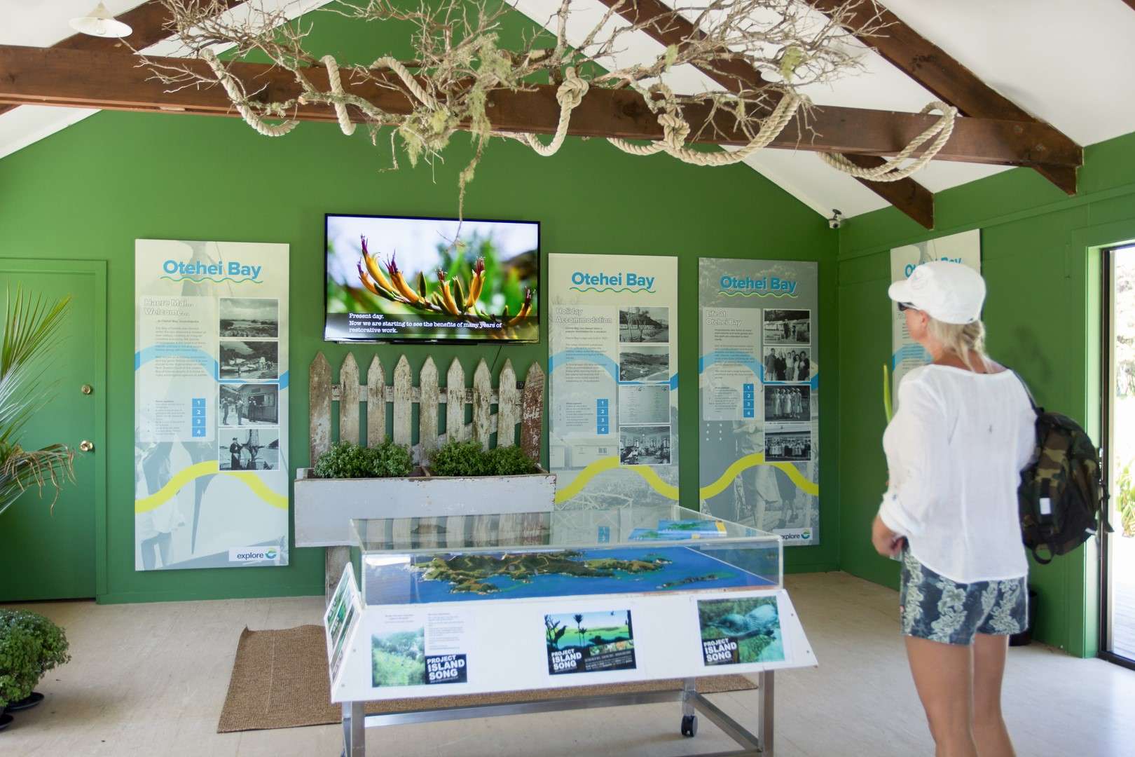 Conservation Centre Explore Dolphin Eco Cruise