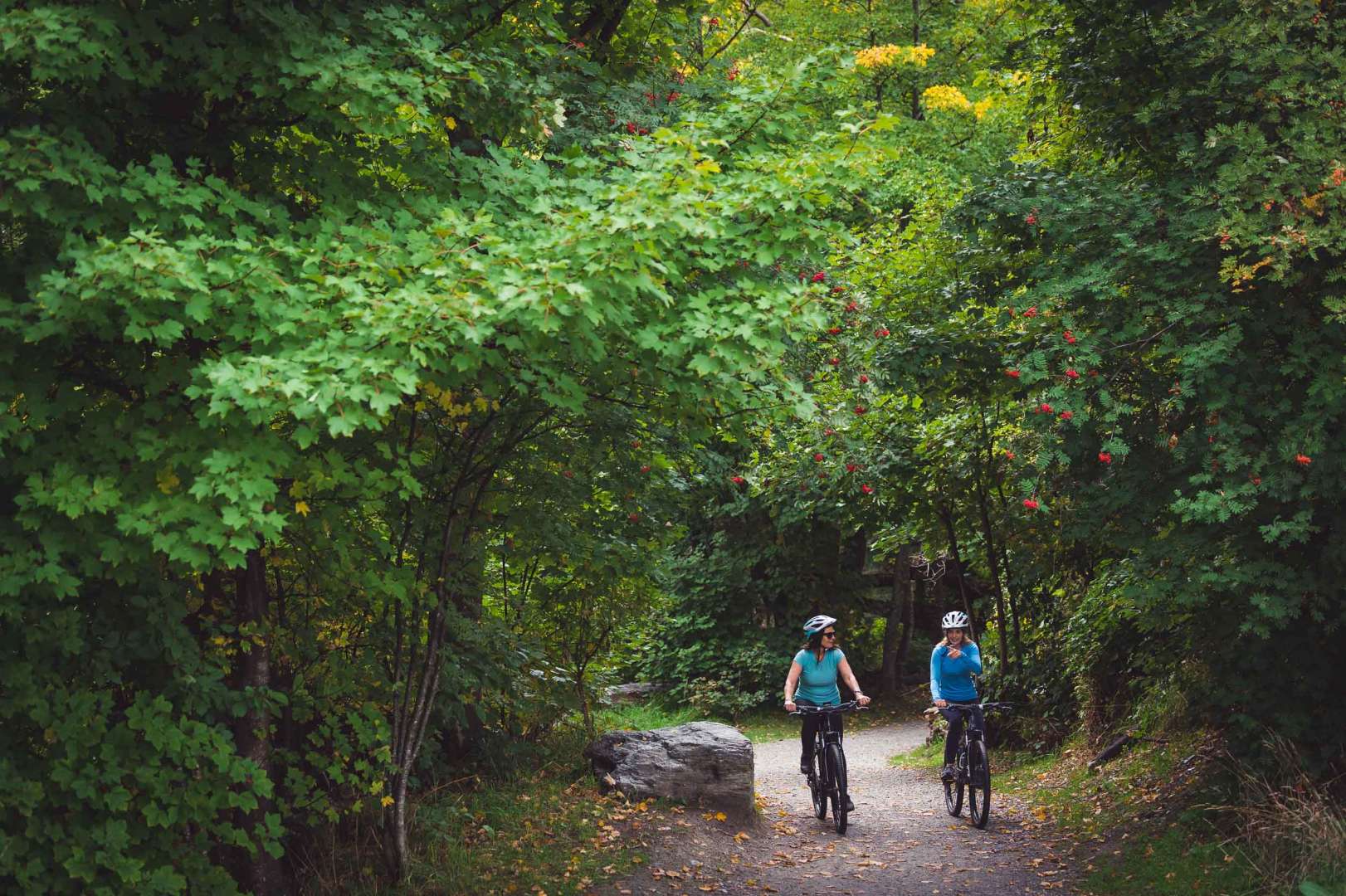 Cycle Trail Arrowtown to Gibbston Valley Ride