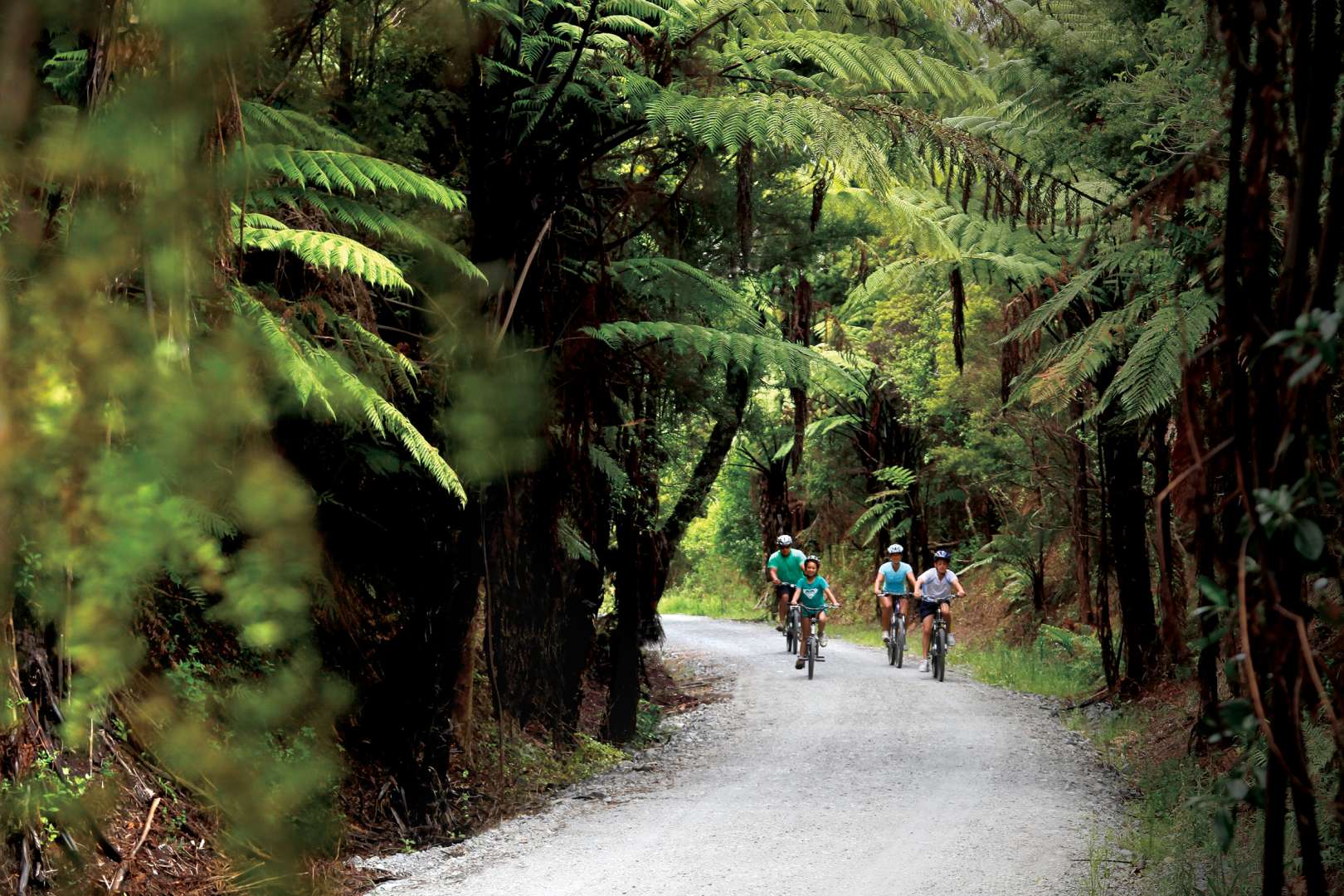 Cycling activities on the twin coast cycle trail Northland