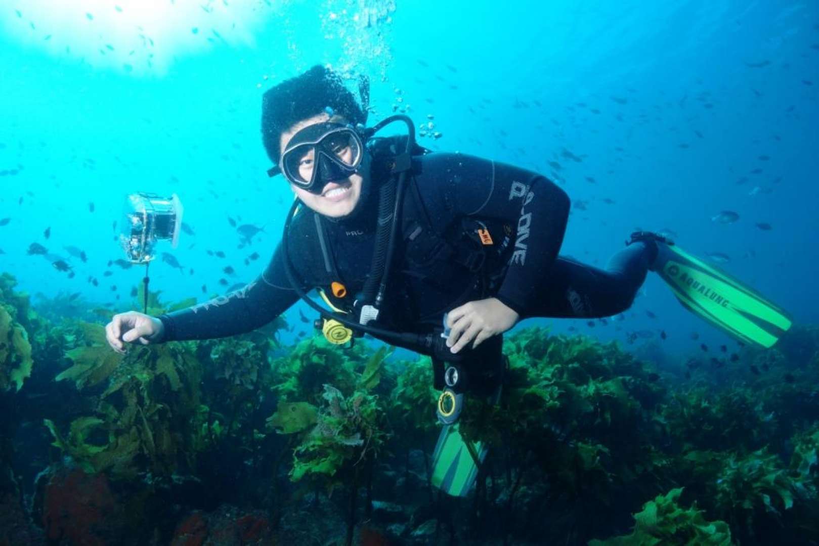 Discover Scuba in the Clear Waters of the Bay of Islands