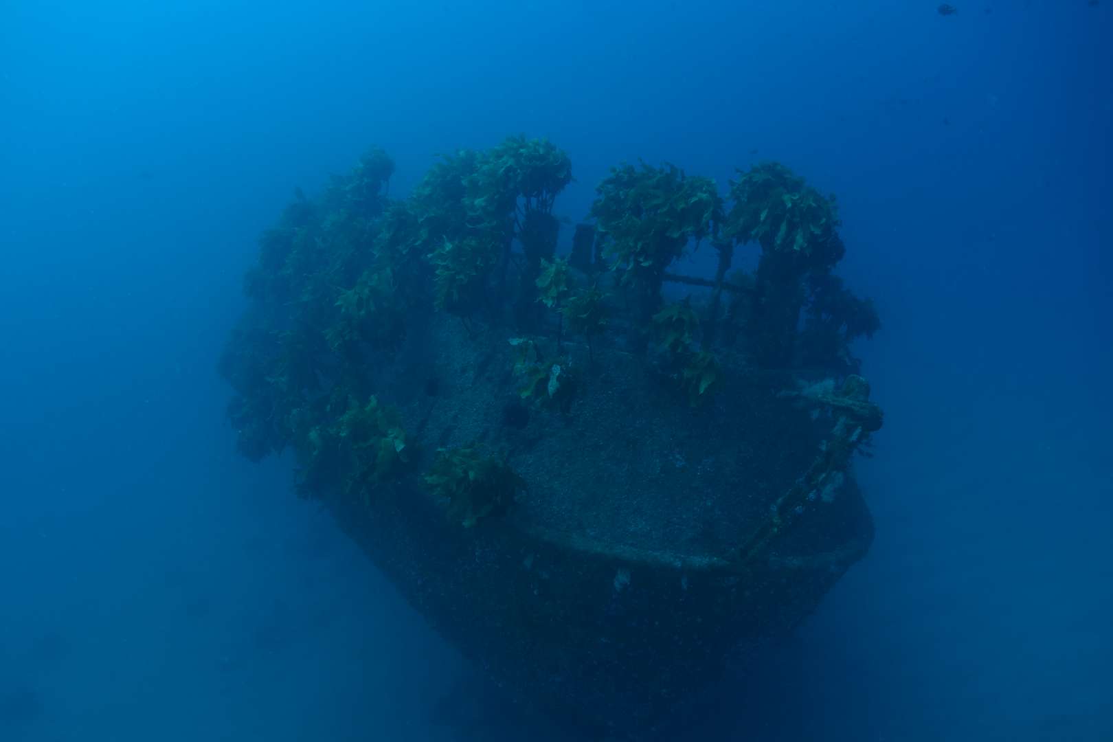 Dive Rainbow Warrior Diving in the Beautiful Cavalli Islands