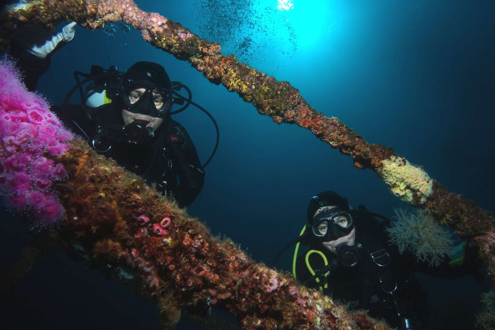 Diving on the Canterbury Ship Wreck Bay of Islands New Zealand