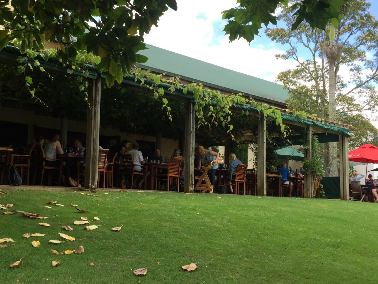 Enjoy a Vineyard Lunch