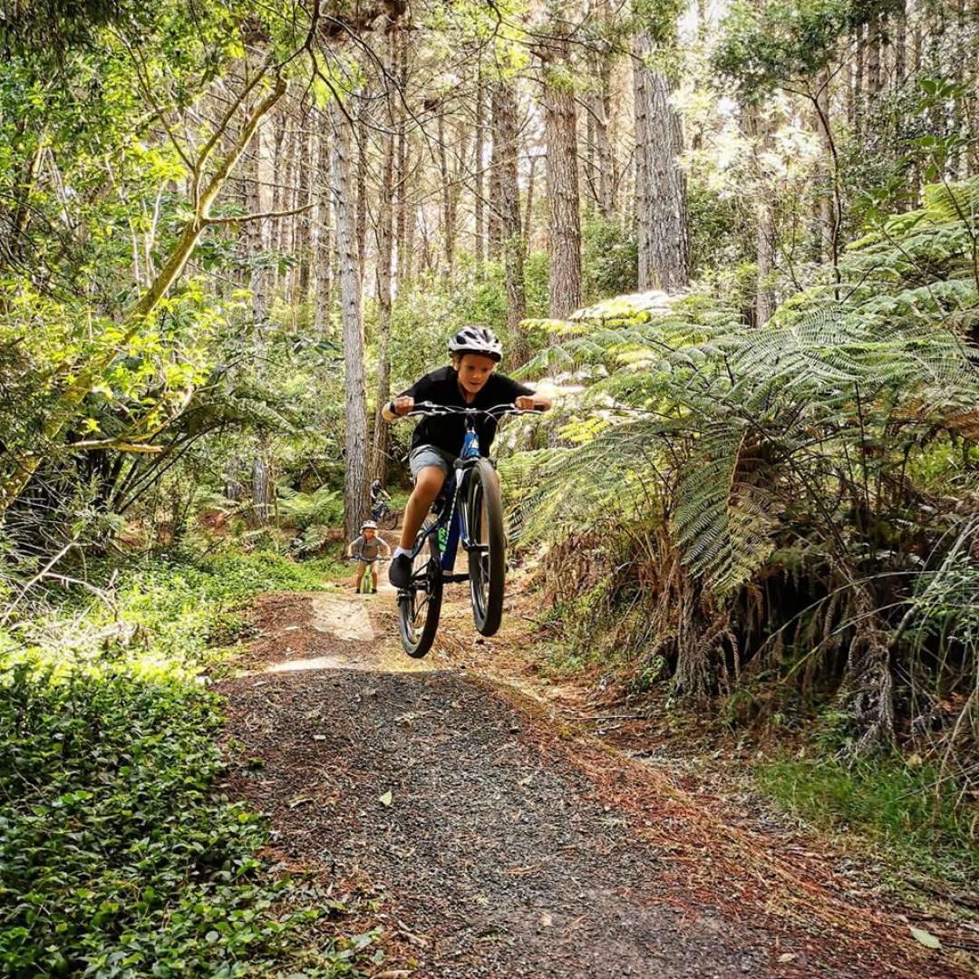 Even the youngest in the family will have fun on bikes