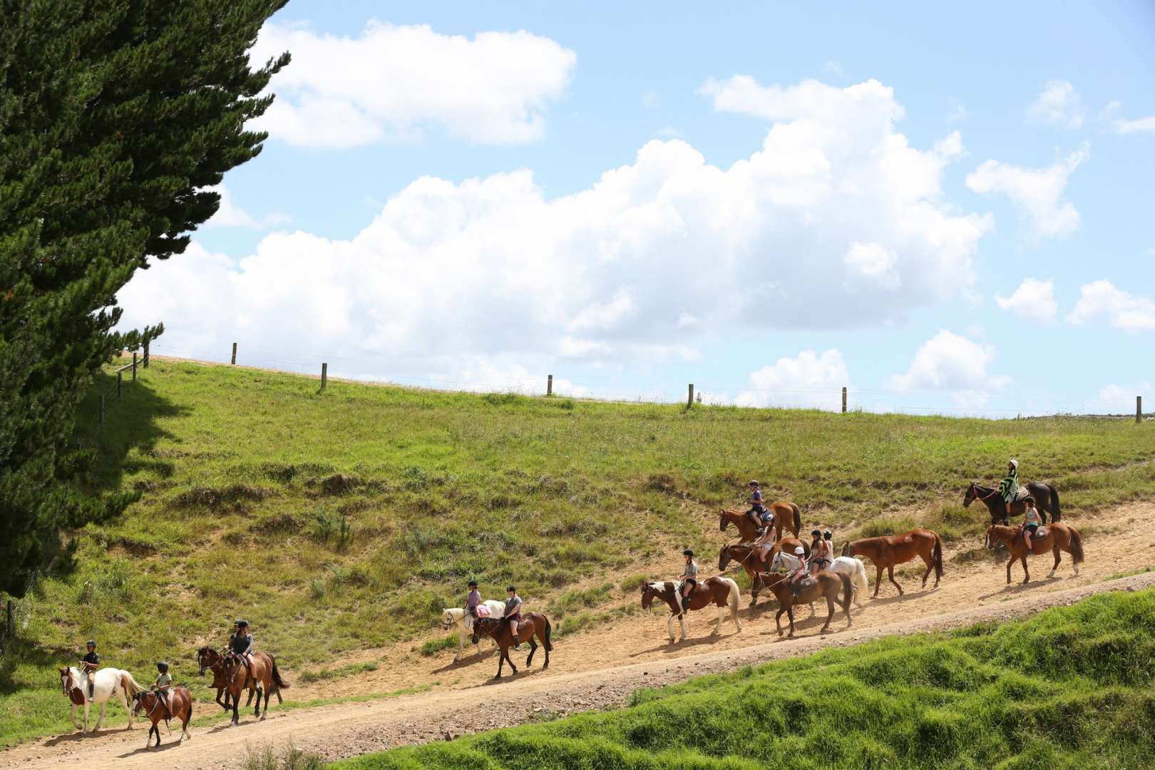 Farm Horse trek Activities At Kates Riding Centre Kerikeri