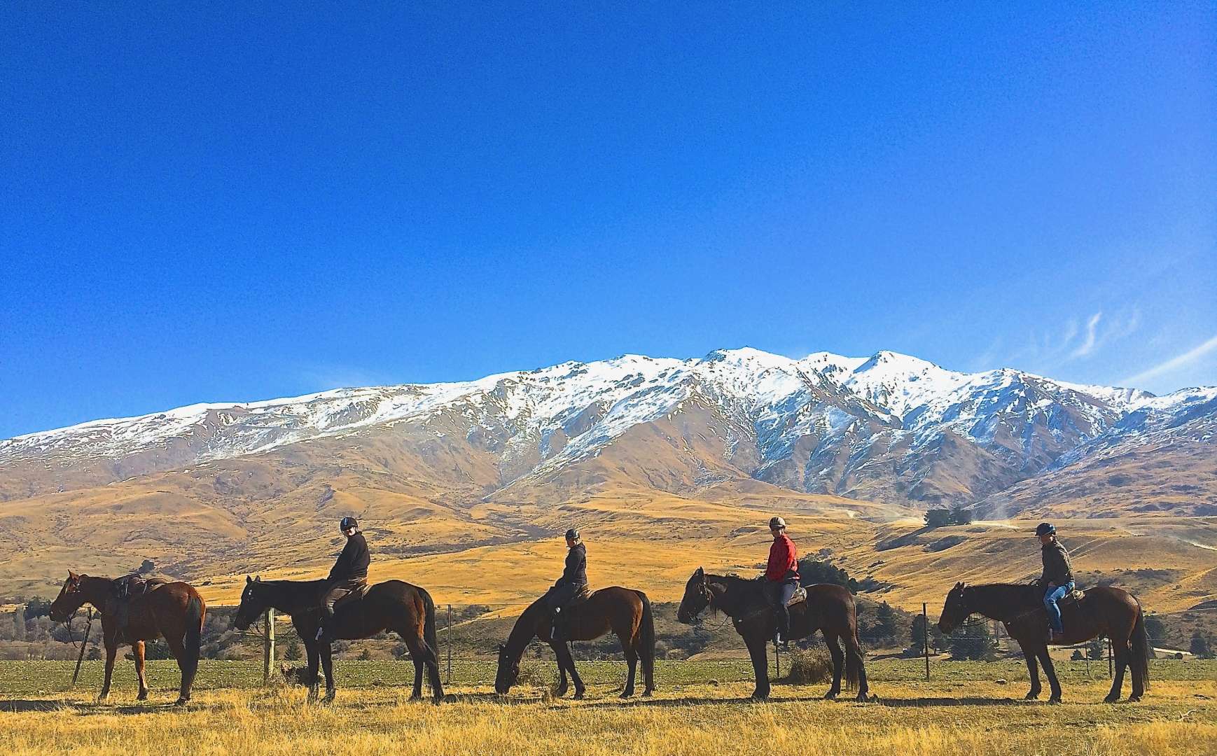 Gold Discovery Trail Horse Trek Wanaka |South Island New Zealand