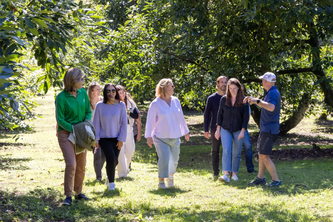 Group tour