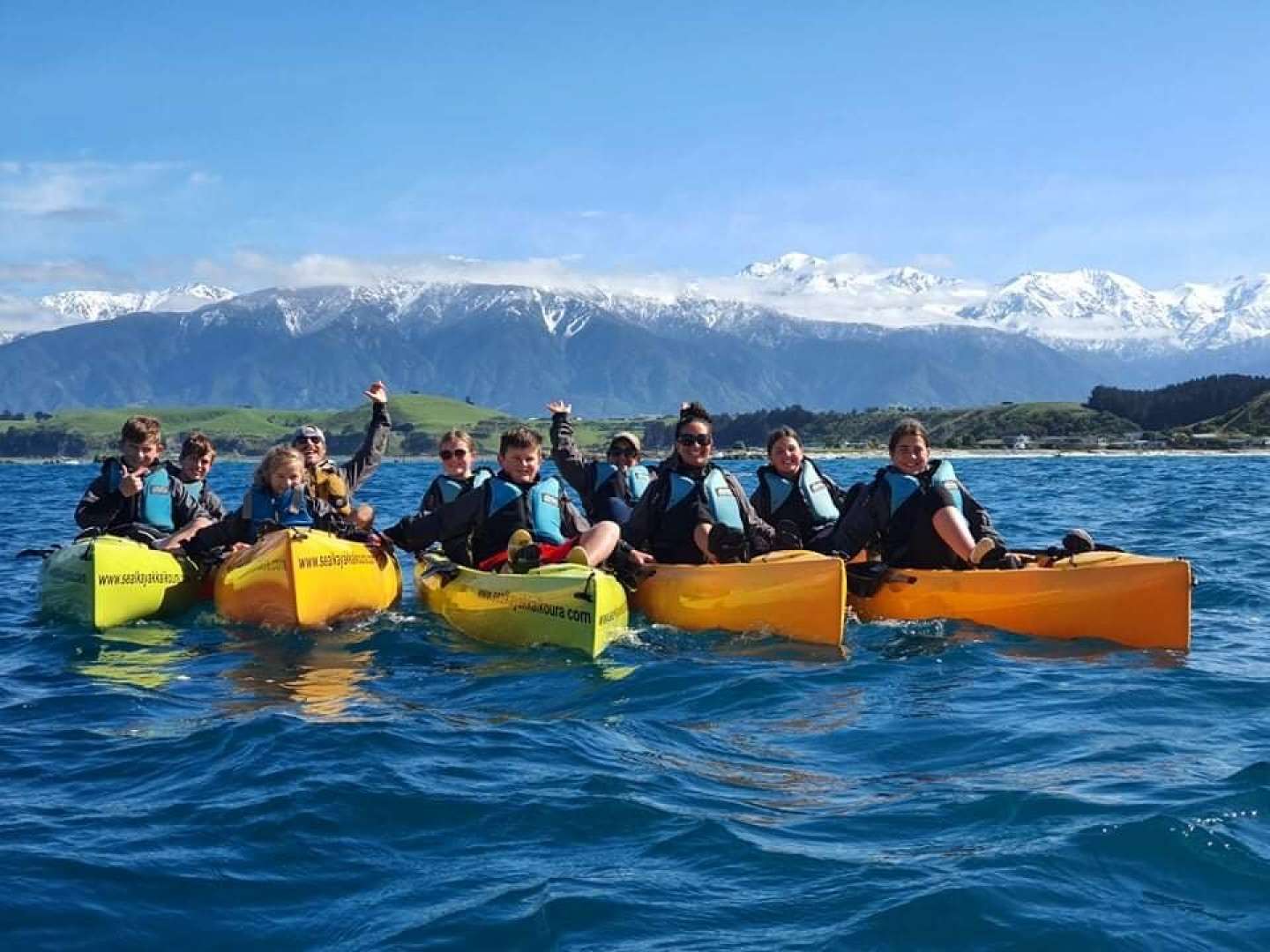Group Trips Kayaking with Seals and Wildlife Kaikoura