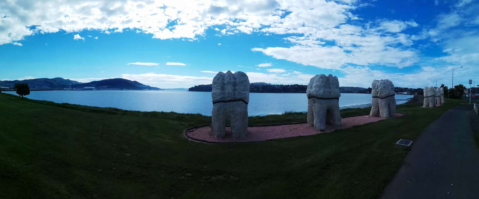 Harbour molars