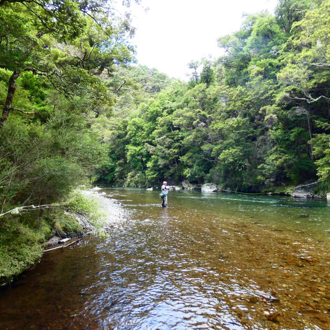 Hawkes Bay activity in the Mokaka River