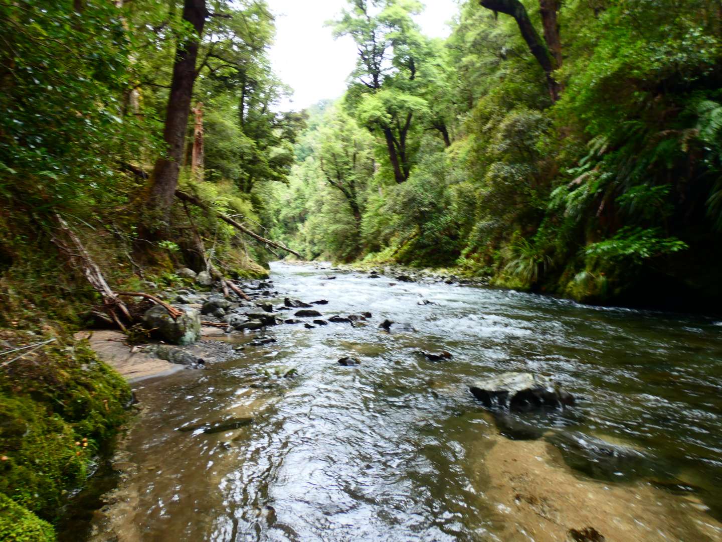 Hawkes Bay top attraction with rafting Mohaka River