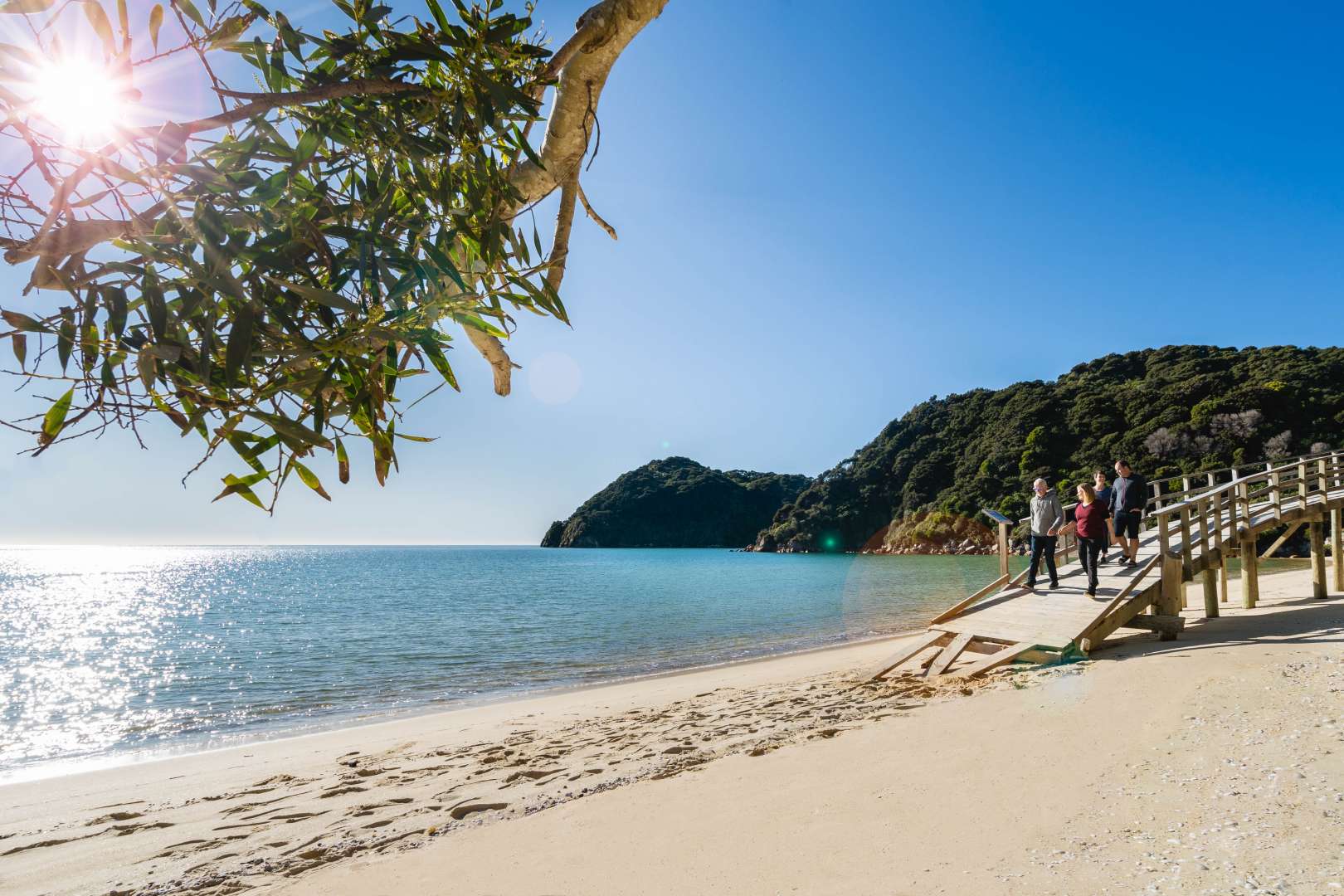 Helicopter Trip over the Abel Tasman to land at Awaroa Beach