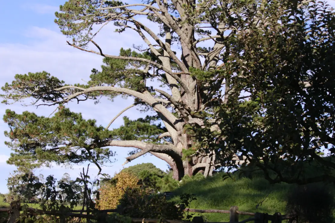 Hobbiton