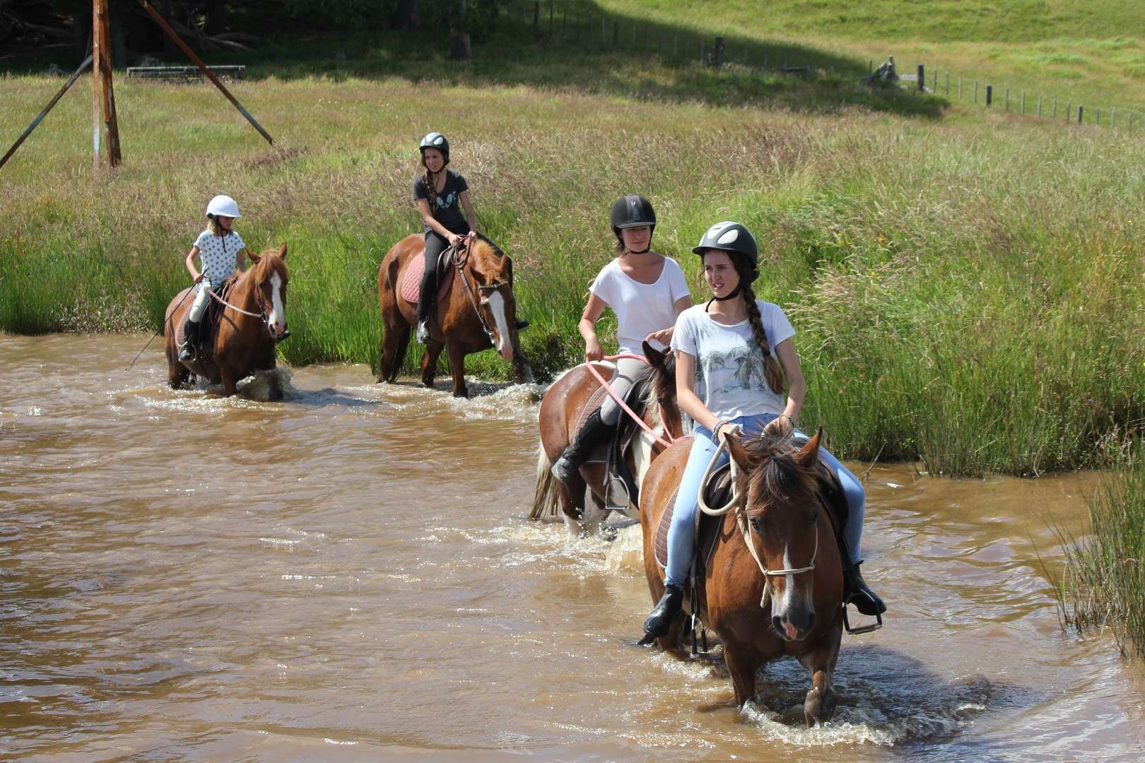 Horse Riding Activities with Kates Horse Riding Treks Kerikeri