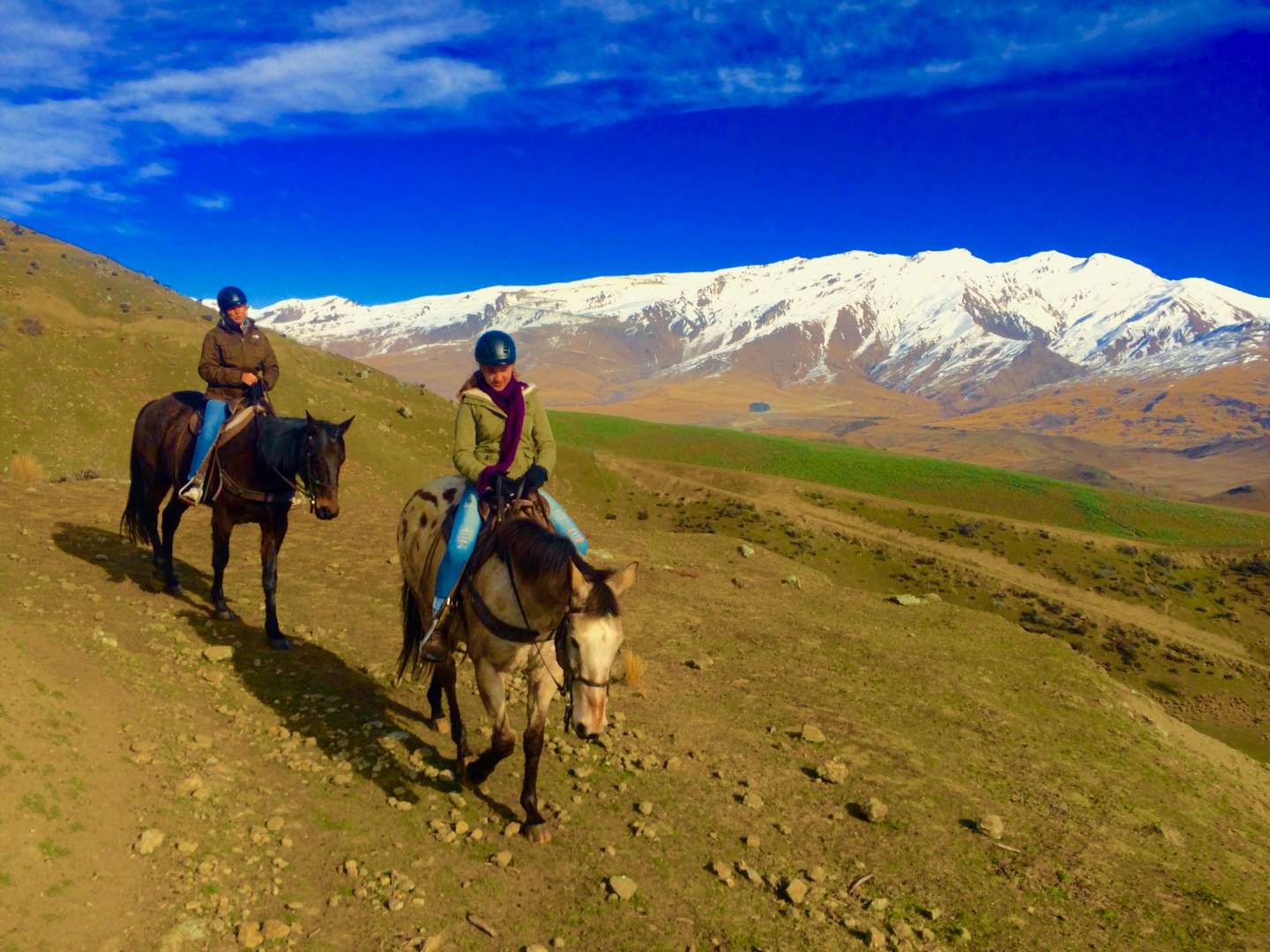 Horse Trek Wanaka with Views over South Island Moutains of New Zealand