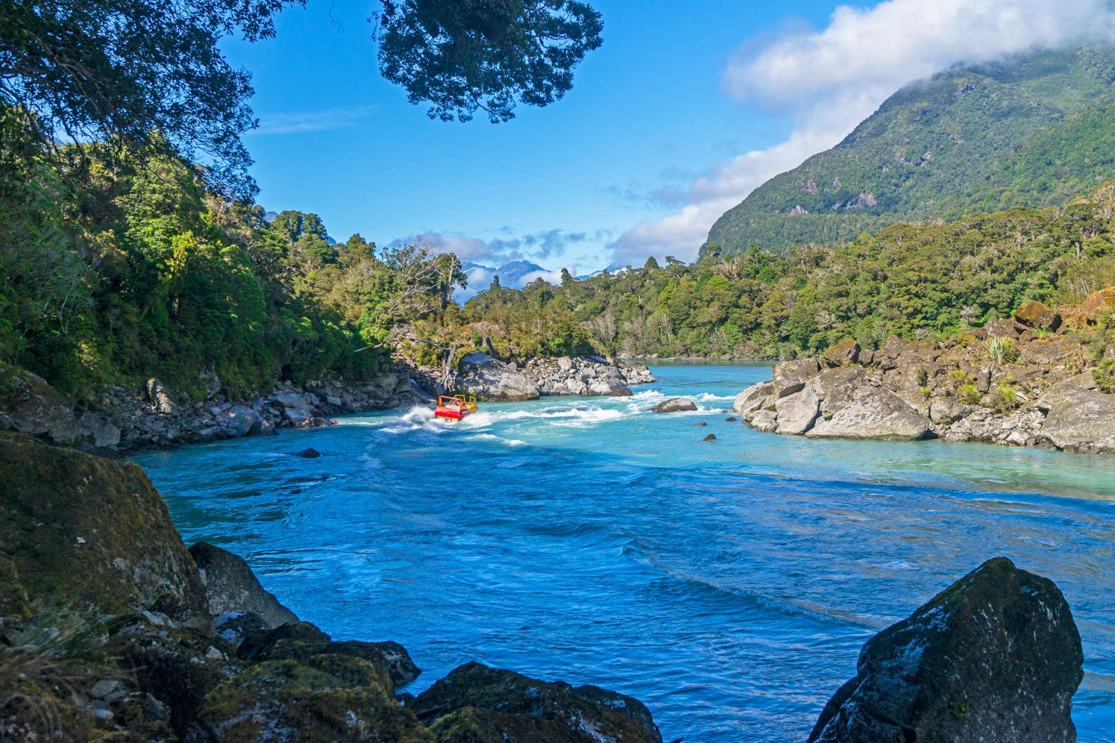 Jet Boat West Coast Activity