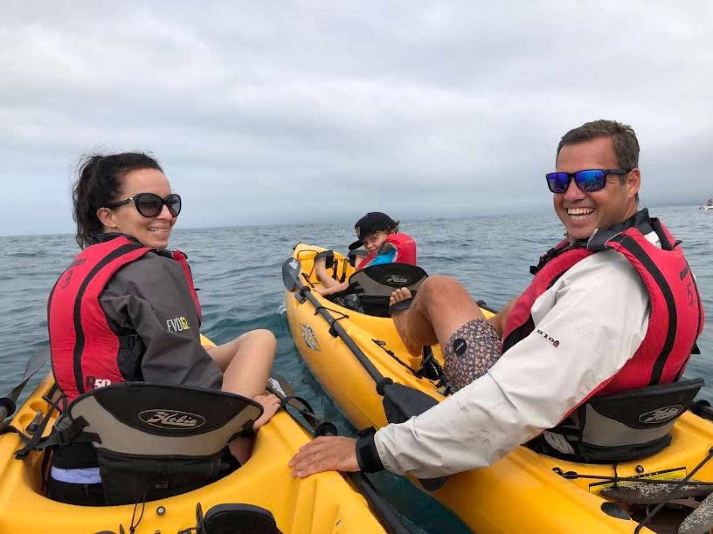 Kaikoura Paddle Kayaks to View New Zealand Wildlife