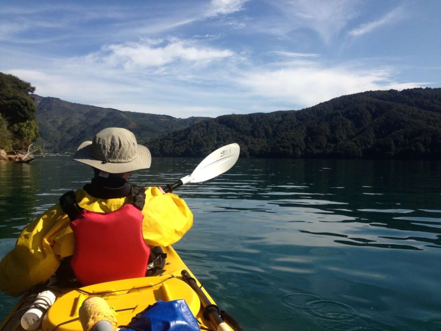 Kayaking Marlborough Sounds