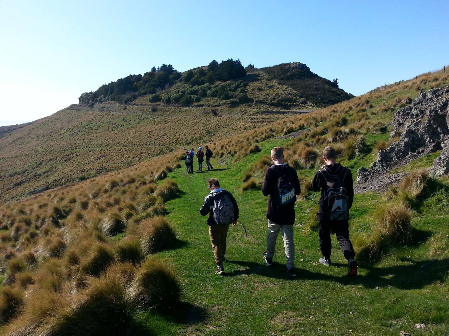 Beautiful farmland overlooking Christchurch