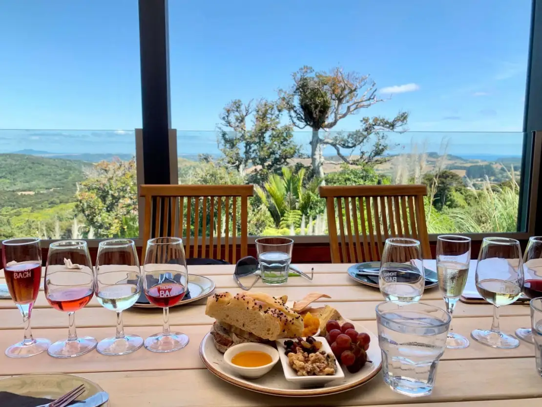 Lunch and wine tasting included