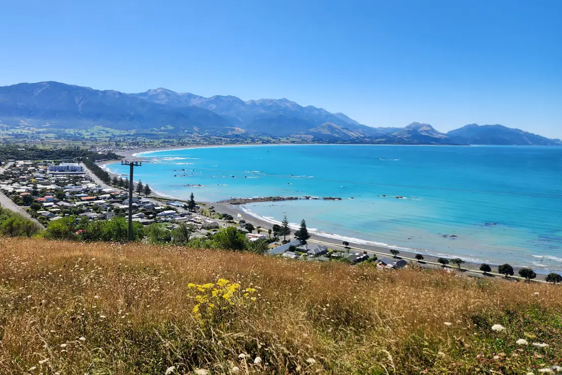 Kaikoura from the lookout