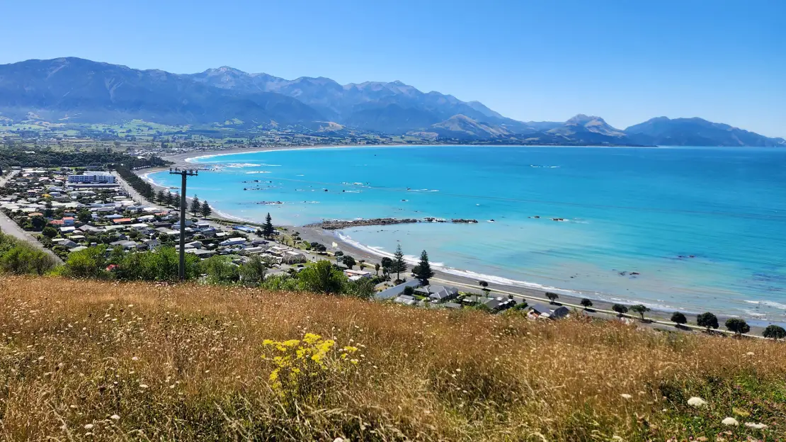 Enjoy panoramic view