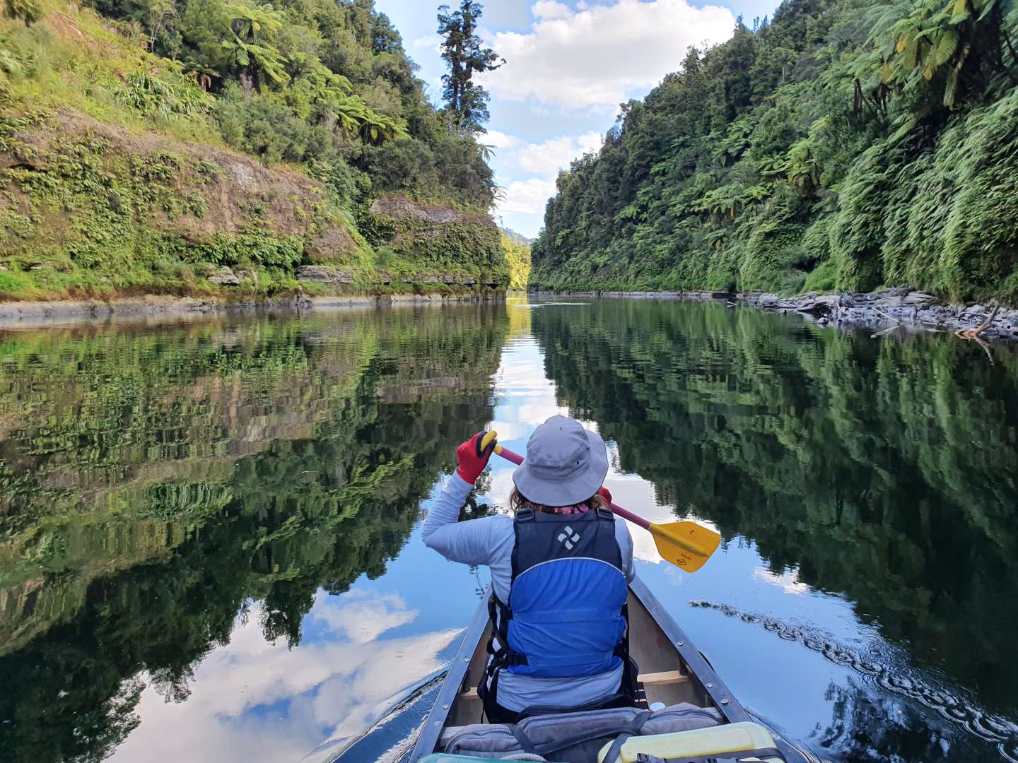 Canoe Safaris Whanganui River