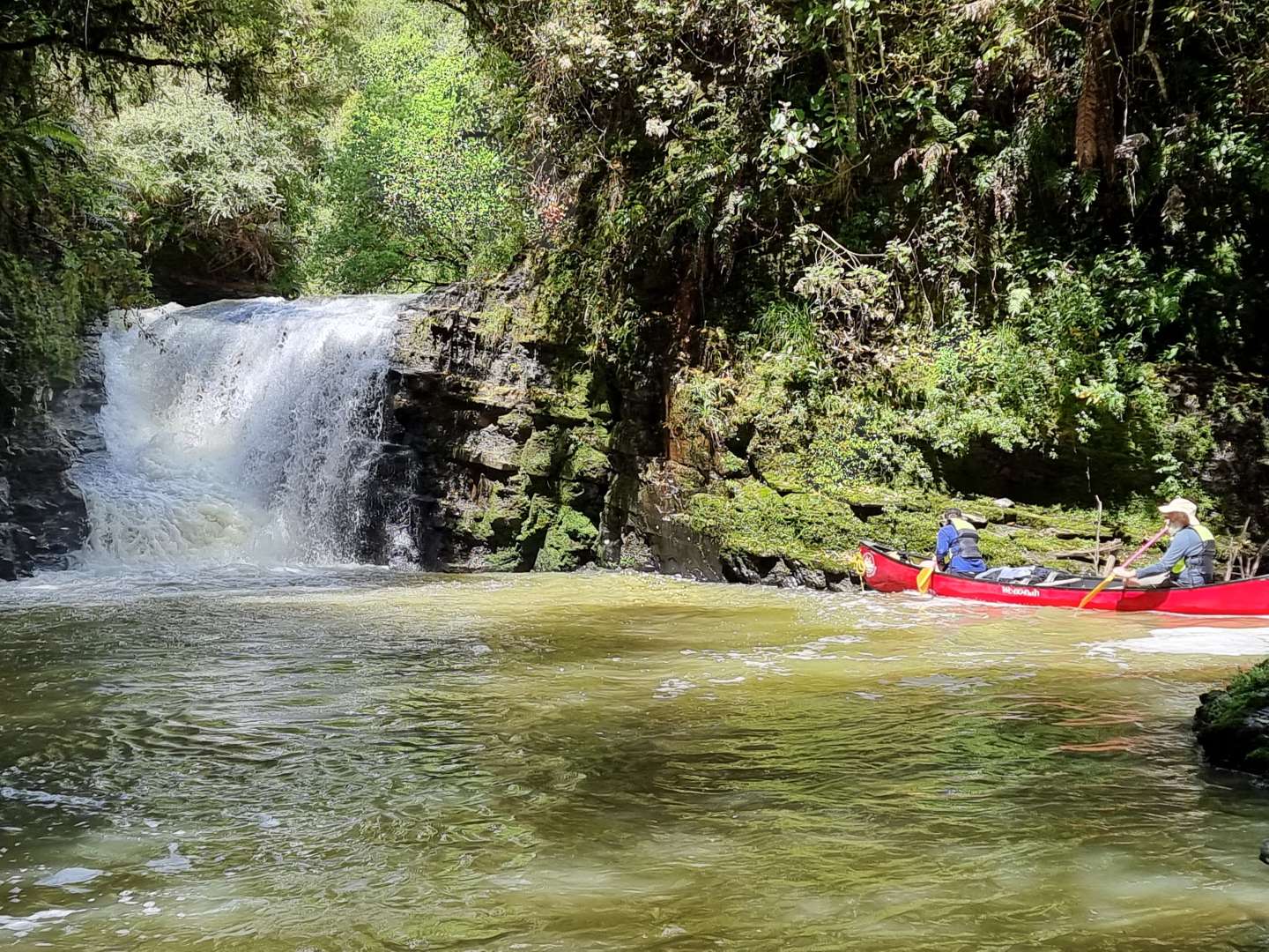 Whanganui National Park