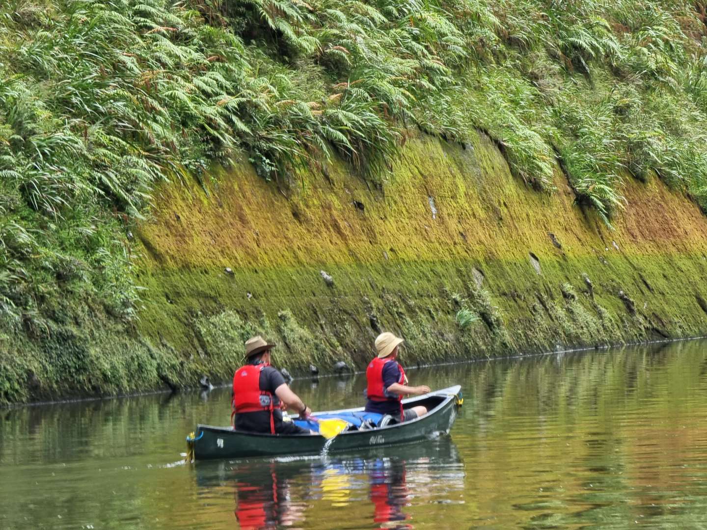 New Zealand's premier natural environment