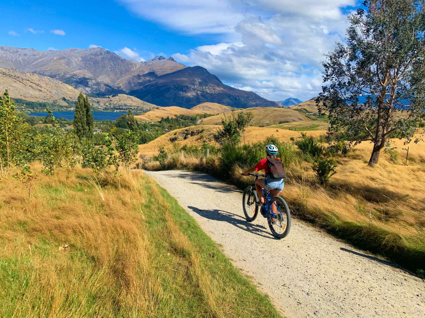 New Zealand's unparalleled beauty with the Valley of the Vines