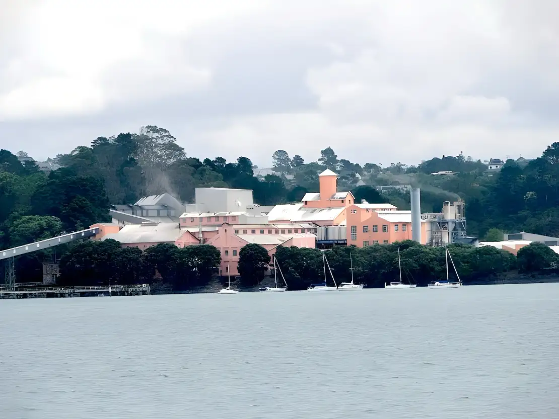 Auckland Scenic Wine and Cheese Cruise | See and Do New Zealand