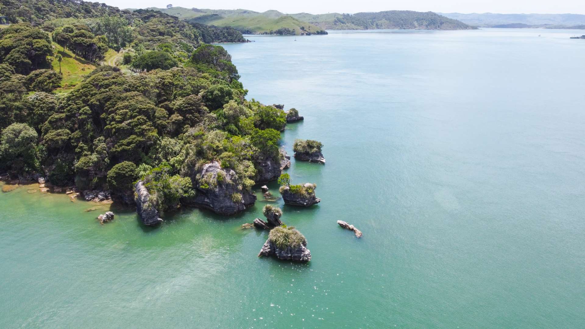 Whaingaroa Harbour