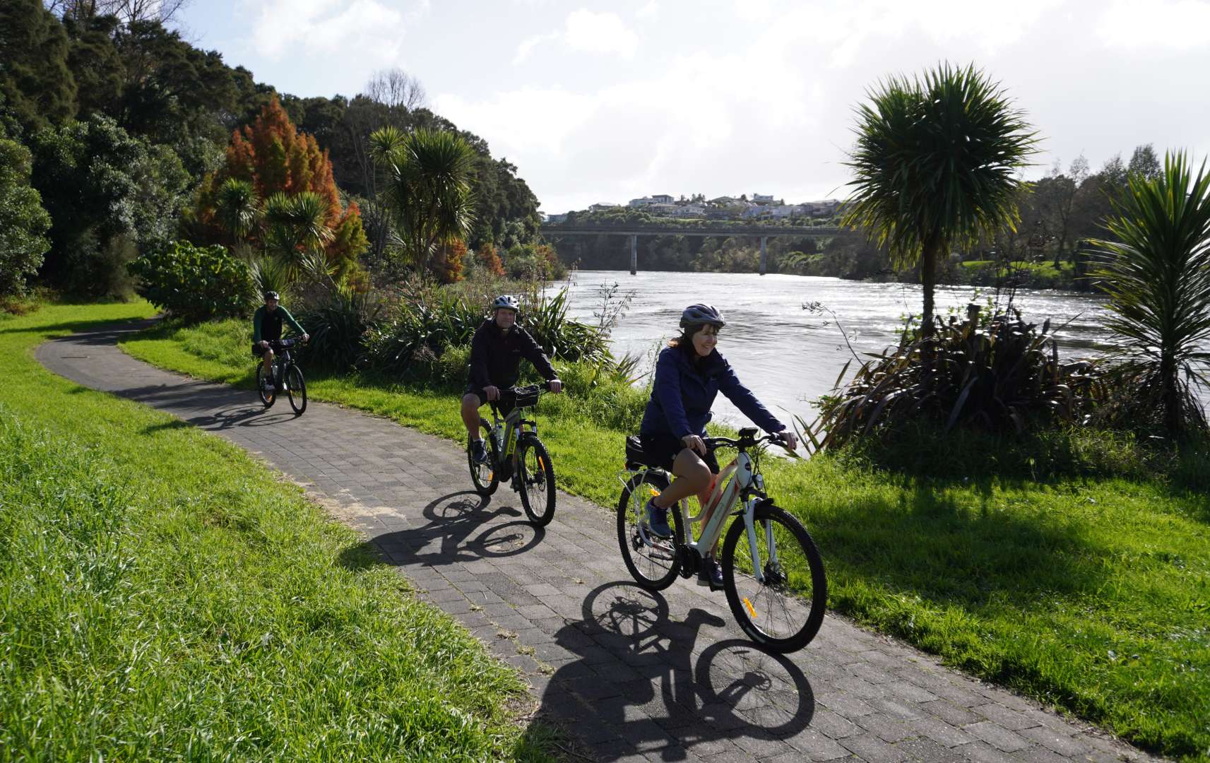Discover the Beauty of Waikato on an Ebike Tour