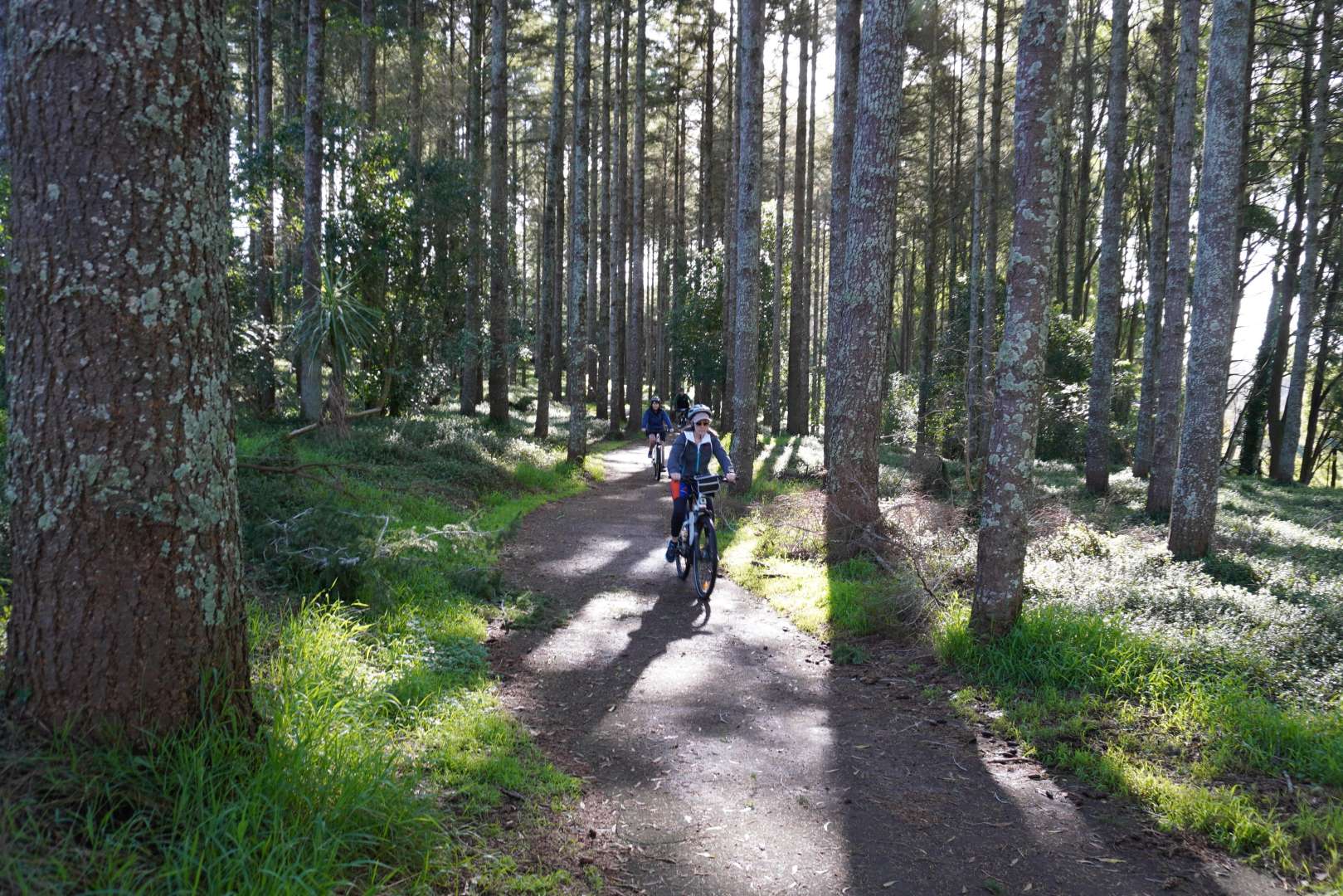 Bike Tour from Auckland