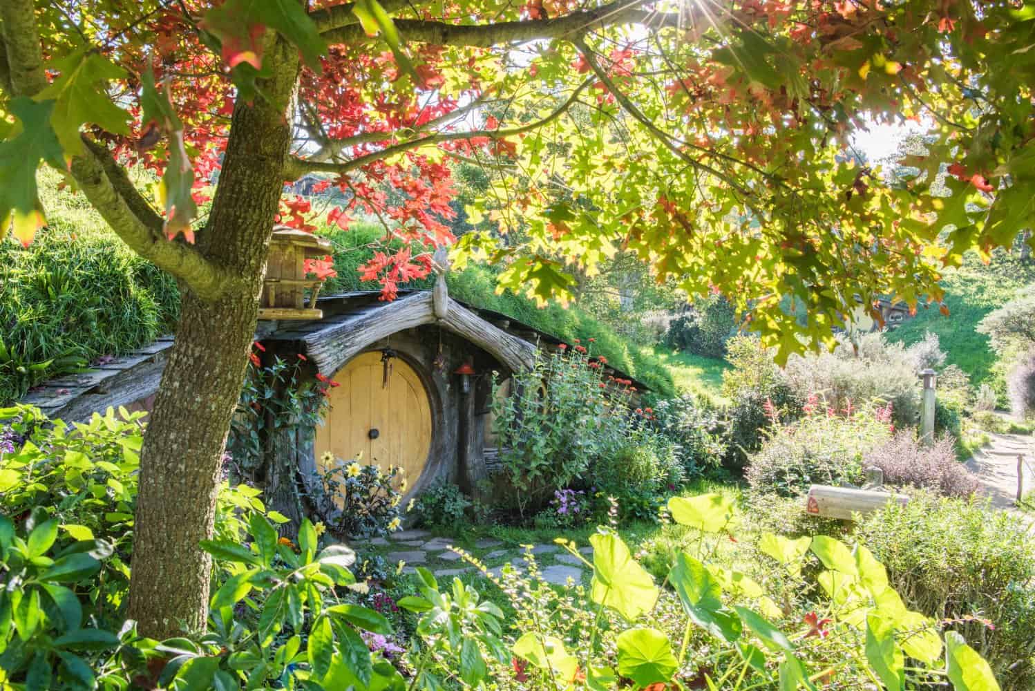 hobbiton trip from auckland