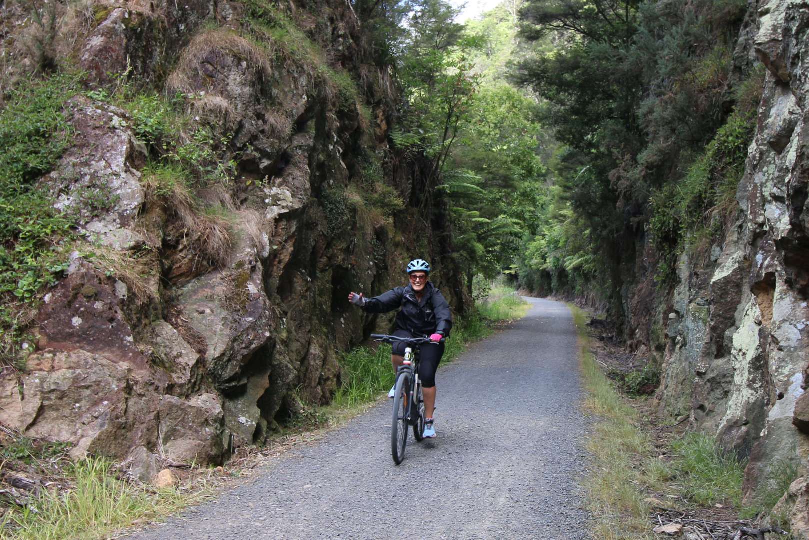 Karangahake Gorge Ebike Tour