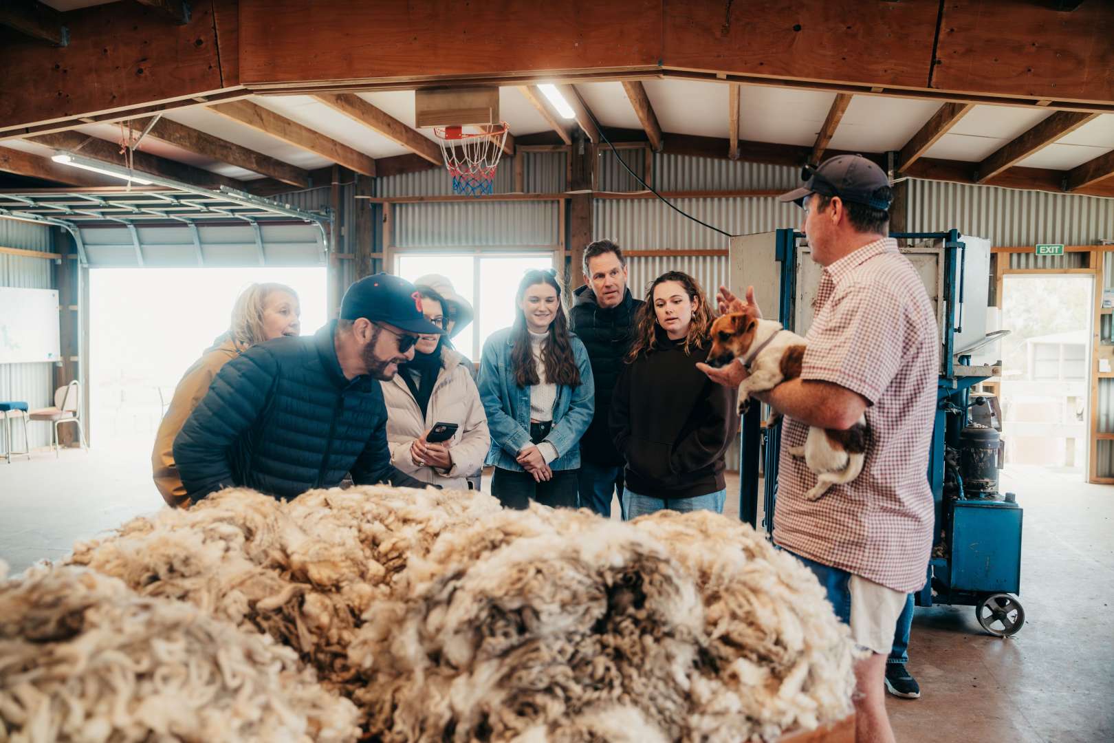 Sheep Shearing at Glenafric Farm