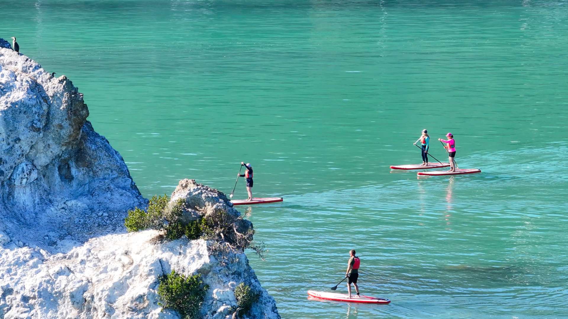 Book Paddleboarding Lesson | See and Do NZ