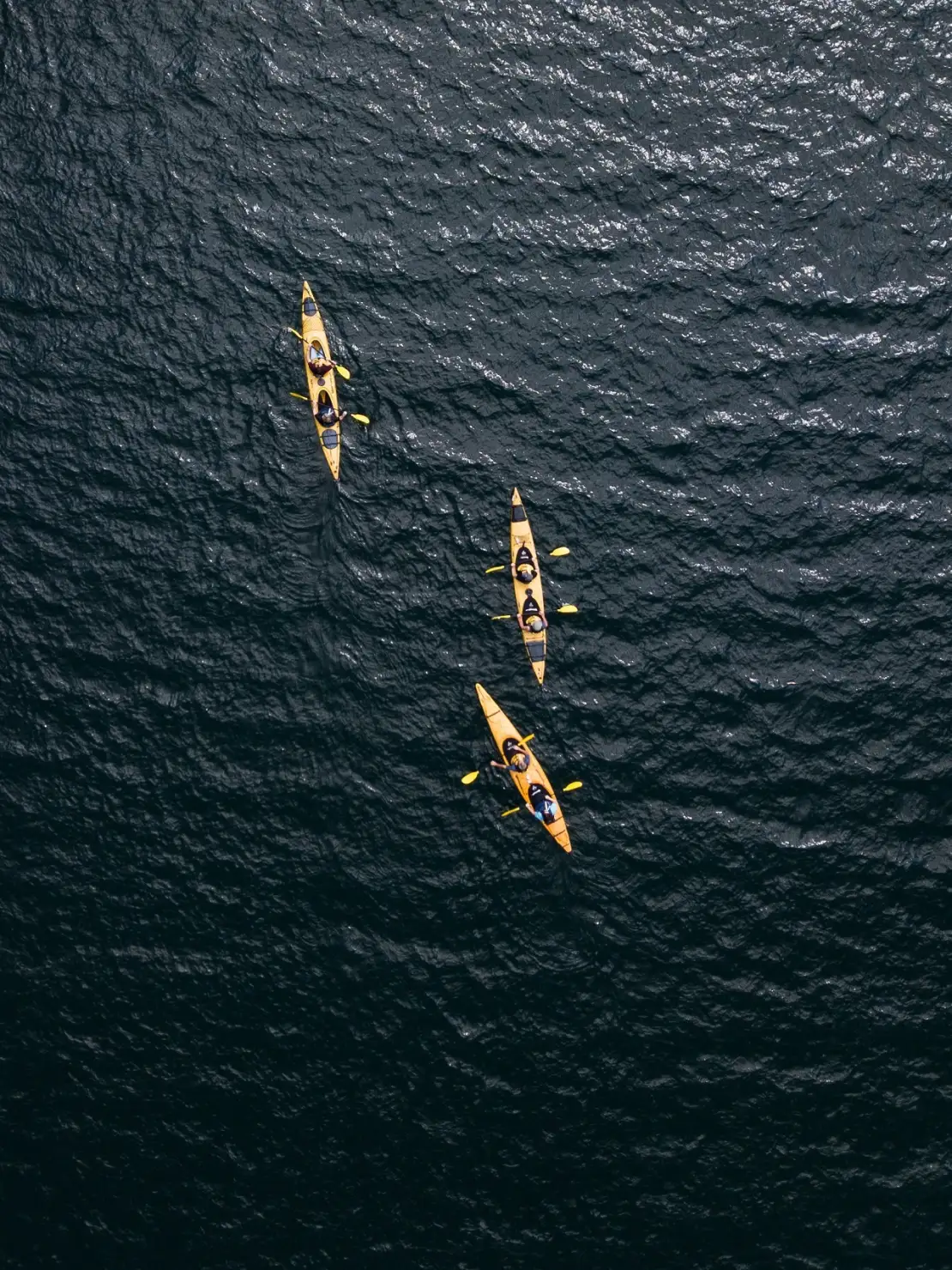 Scenic Lake Rotoiti Kayak Tour at Rotorua | See and Do NZ