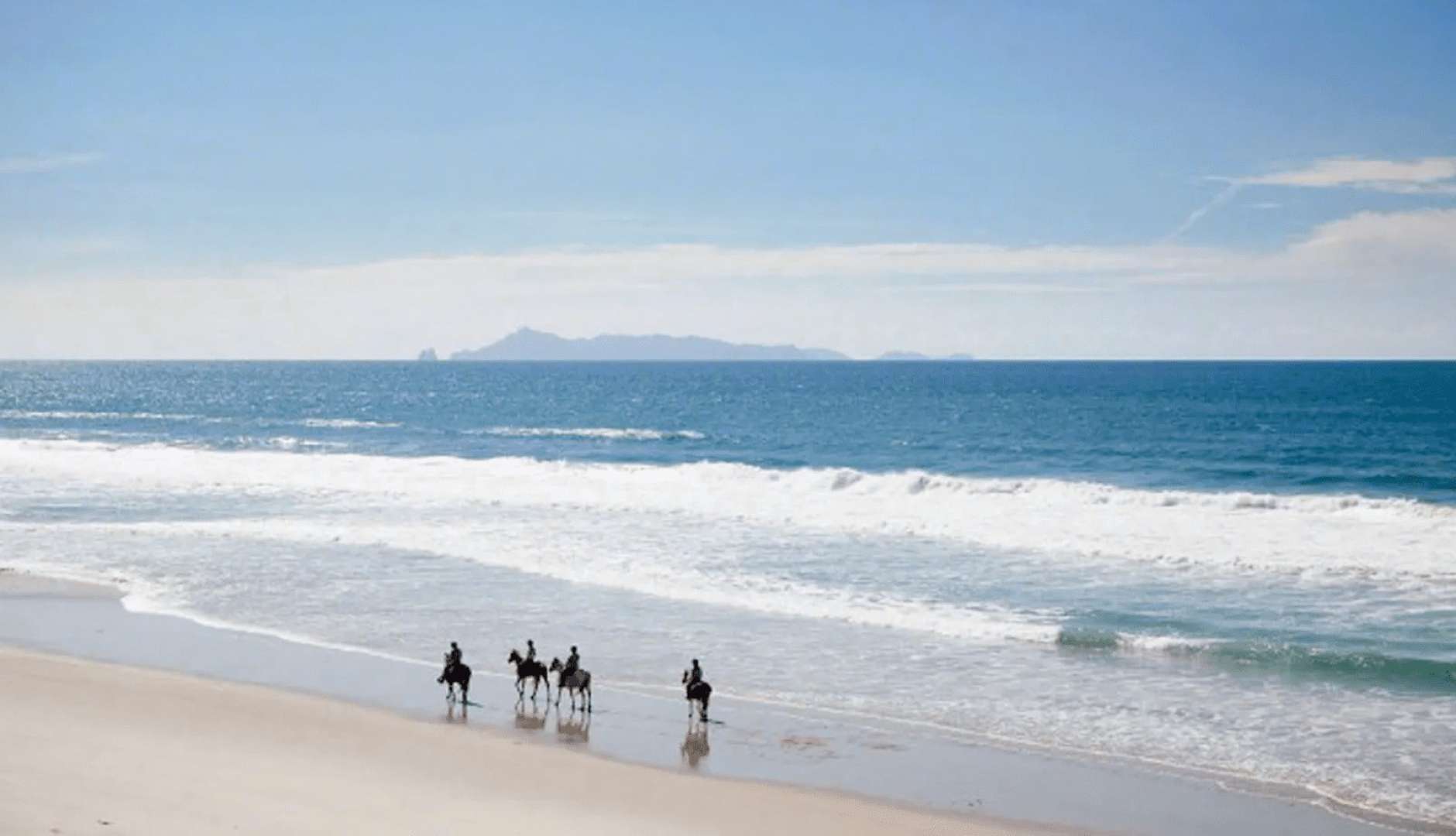 Horse Trek Private Tour from Auckland