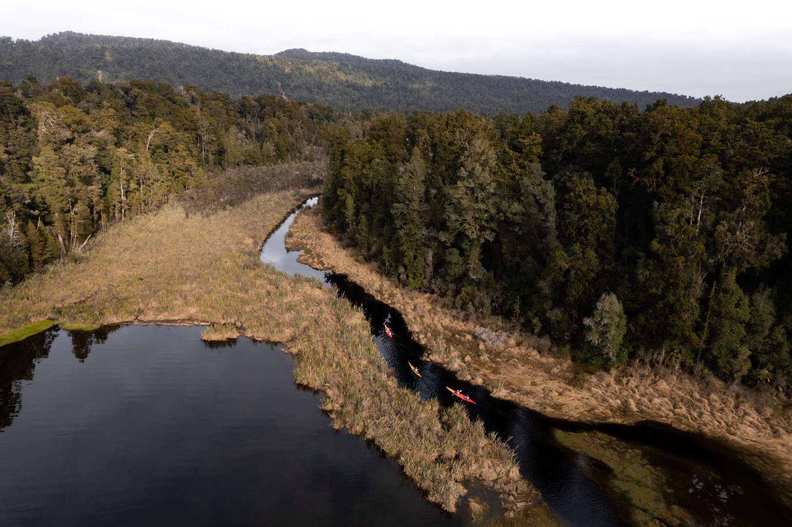 Kayak into a pristine kiwi bird and rainforest sanctuary.
