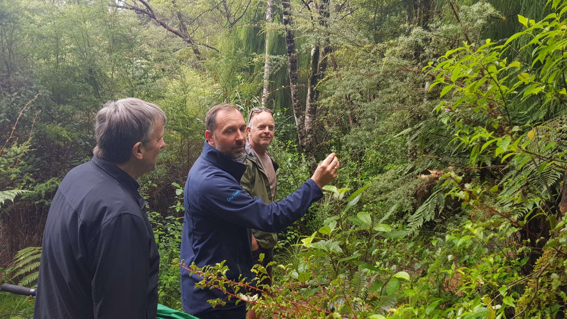 Guided ecotour