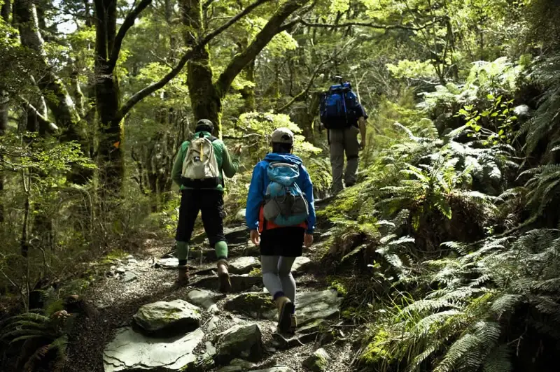 Guided walking begins after arriving at Raspberry Hunt