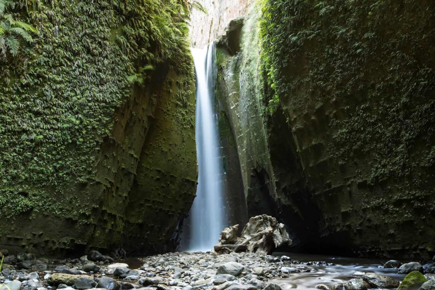 Rangitikei River Canyons Adventure Acctivity