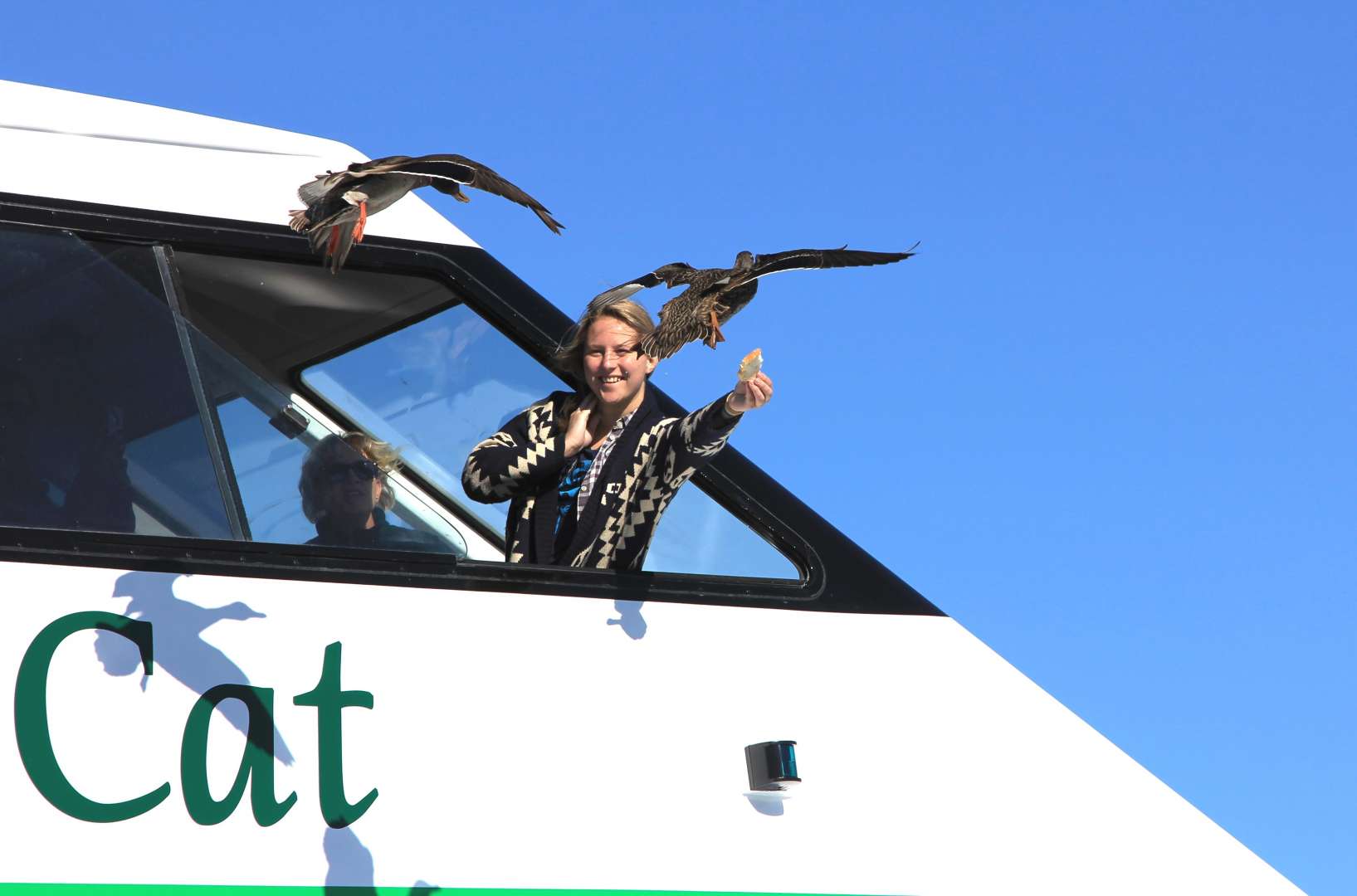 Lake Taupo Boat Cruise Cat on the Largest Boat in Taupo